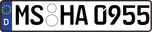MS-HA0955