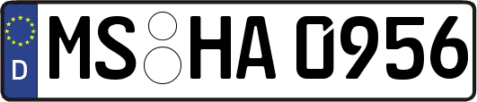 MS-HA0956