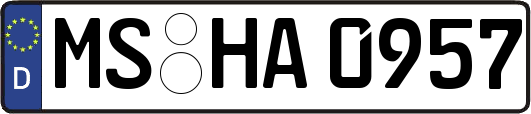 MS-HA0957