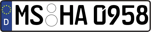 MS-HA0958