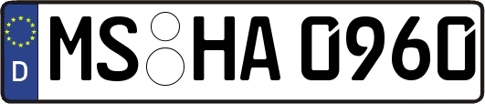 MS-HA0960