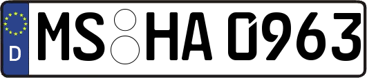 MS-HA0963