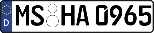 MS-HA0965