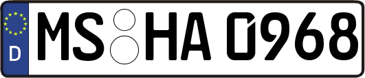 MS-HA0968