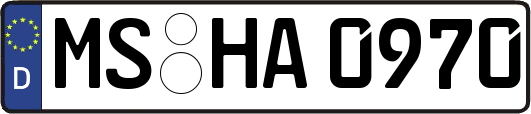 MS-HA0970