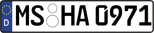 MS-HA0971