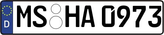 MS-HA0973