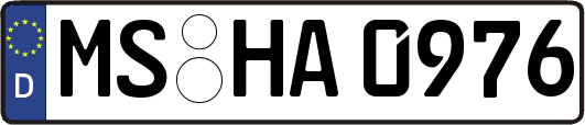 MS-HA0976