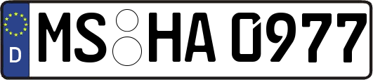 MS-HA0977