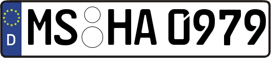 MS-HA0979