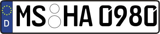 MS-HA0980