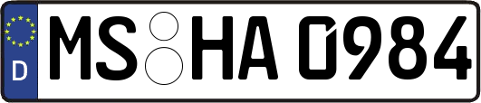 MS-HA0984