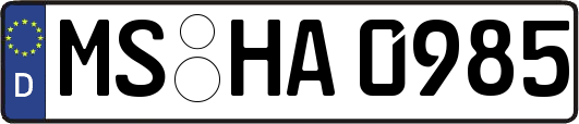 MS-HA0985