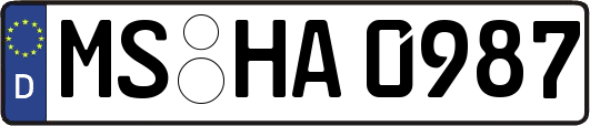 MS-HA0987
