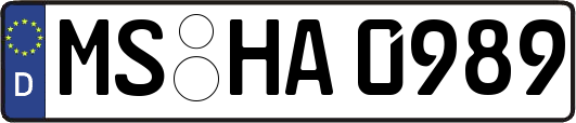 MS-HA0989