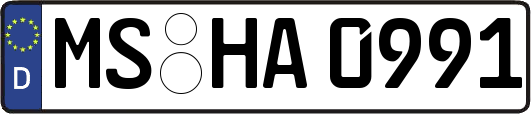 MS-HA0991