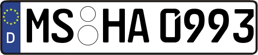 MS-HA0993