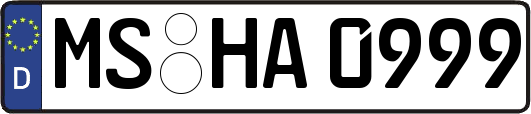 MS-HA0999