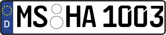 MS-HA1003