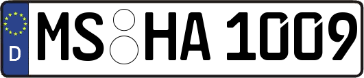 MS-HA1009