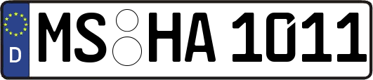 MS-HA1011