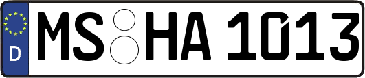 MS-HA1013