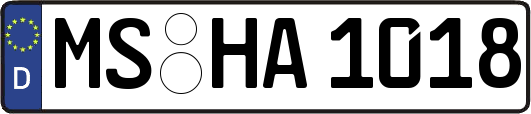 MS-HA1018