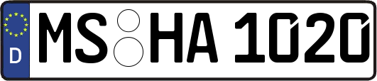 MS-HA1020