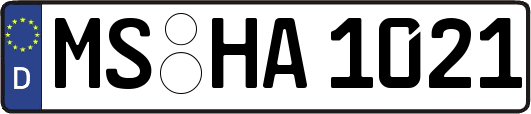 MS-HA1021