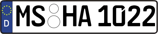 MS-HA1022