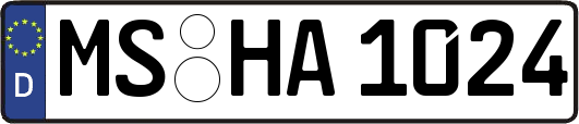 MS-HA1024