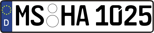 MS-HA1025
