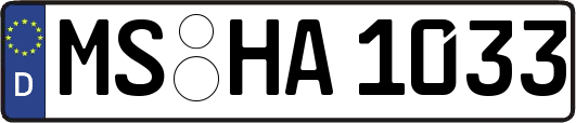 MS-HA1033