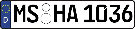 MS-HA1036
