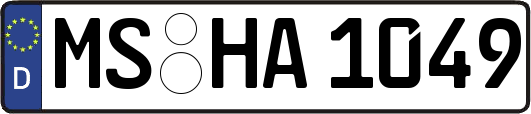 MS-HA1049