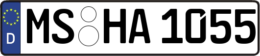 MS-HA1055