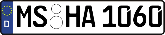 MS-HA1060