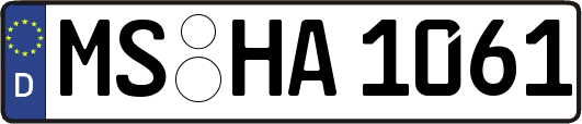 MS-HA1061
