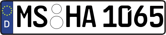 MS-HA1065