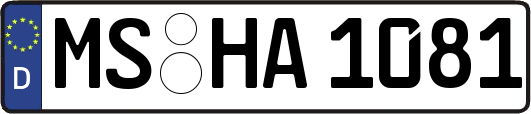 MS-HA1081