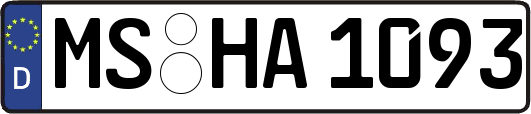 MS-HA1093