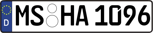 MS-HA1096