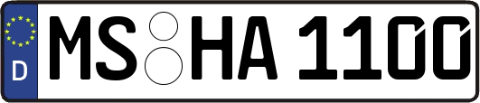 MS-HA1100