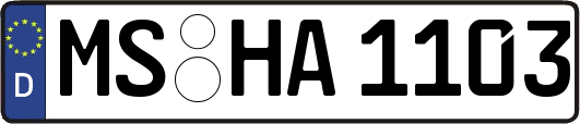 MS-HA1103