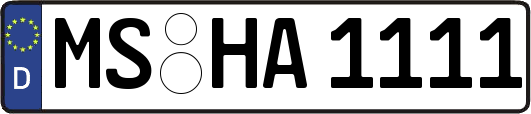 MS-HA1111