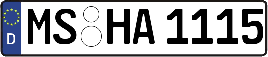 MS-HA1115