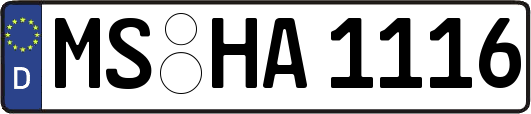 MS-HA1116