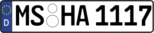 MS-HA1117