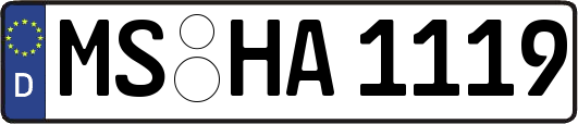 MS-HA1119
