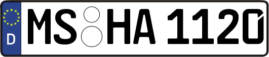MS-HA1120